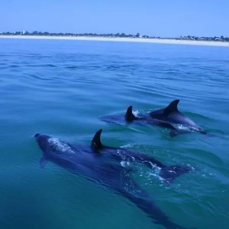 Apartment Espreit'omar - Seapeek *