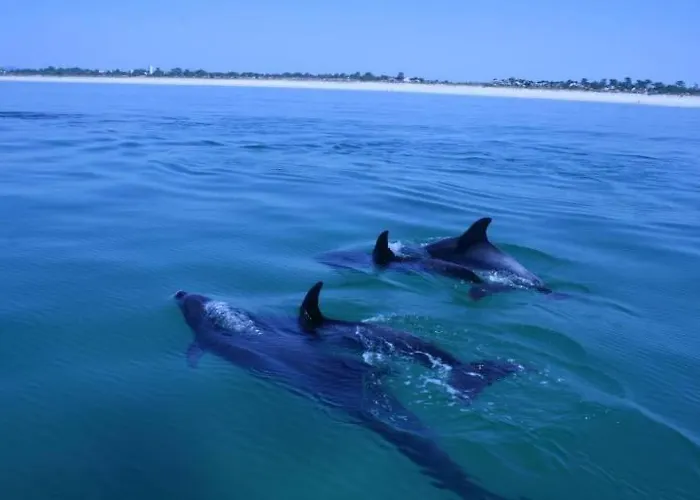 Lejlighed Espreit'omar - Seapeek *